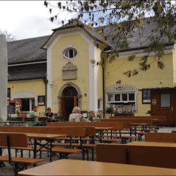 Nun sollte ich wieder nach Salzburg zurückkehren